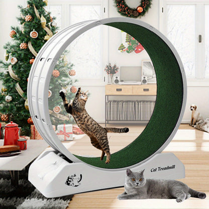 Kattträning Wheel Inomhus Löpande Wheel för Katter Fitness Kul