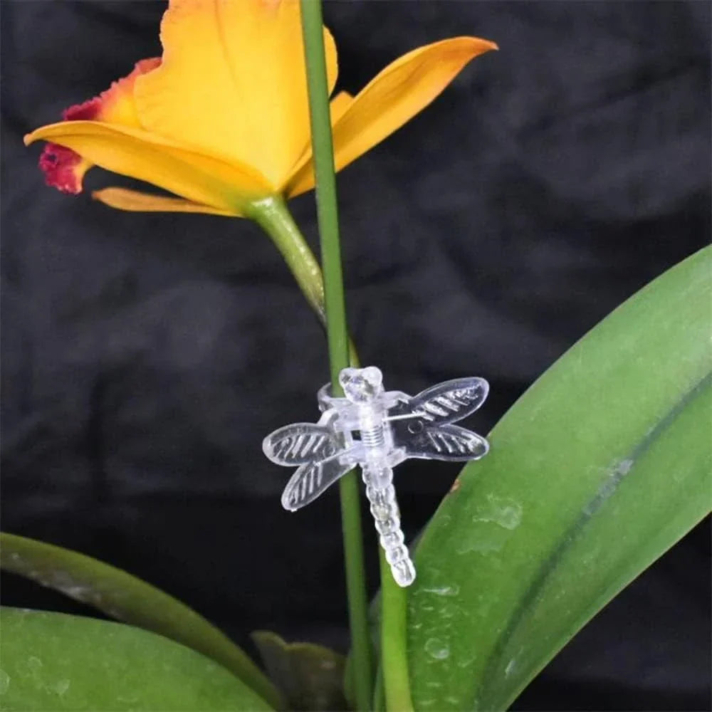 Carvallo Florifix Stängelklämmor för klätterväxter | Osynliga växtstöd | 100 stycken | Transparent design