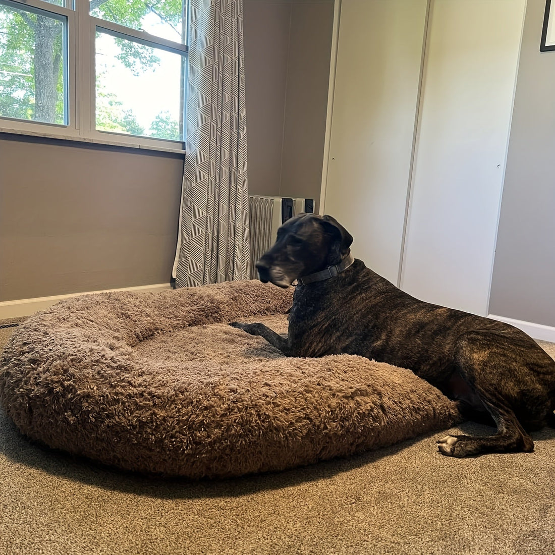 SnuggleSphere™ Den mänskliga hundsängen