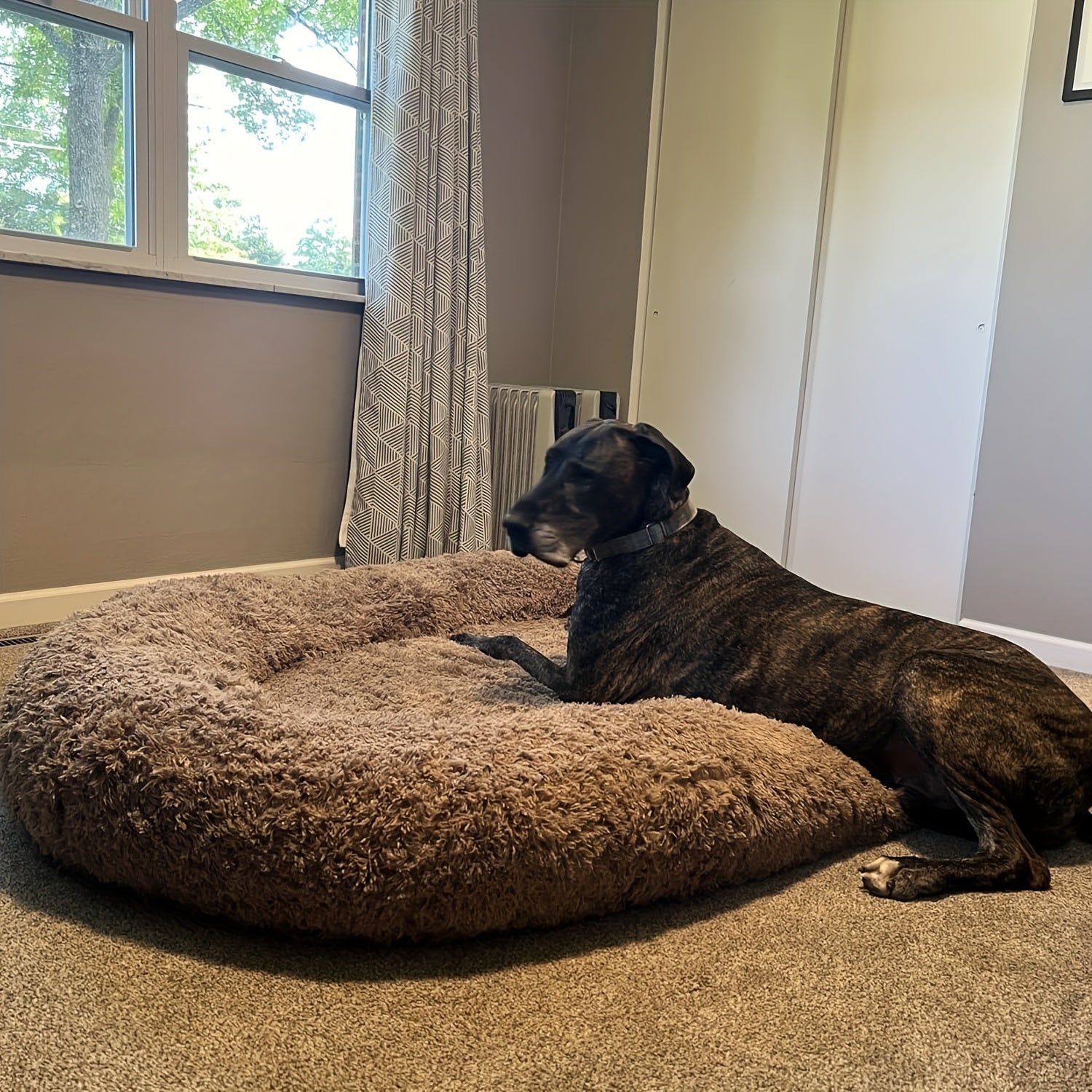 SnuggleSphere™ Den mänskliga hundsängen