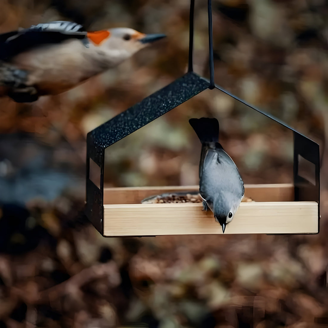 TweetWood Bo | Elegant Hängande Fågelhus
