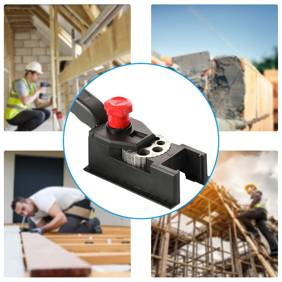 Carvallo - Dyckborrslinjer