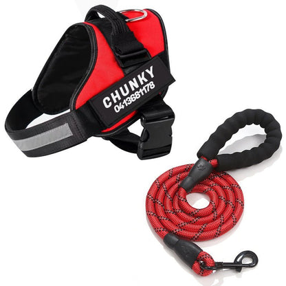 Dogsafe Sele - Reflekterande, dragfritt hundsel med anpassningsbart namnskylt