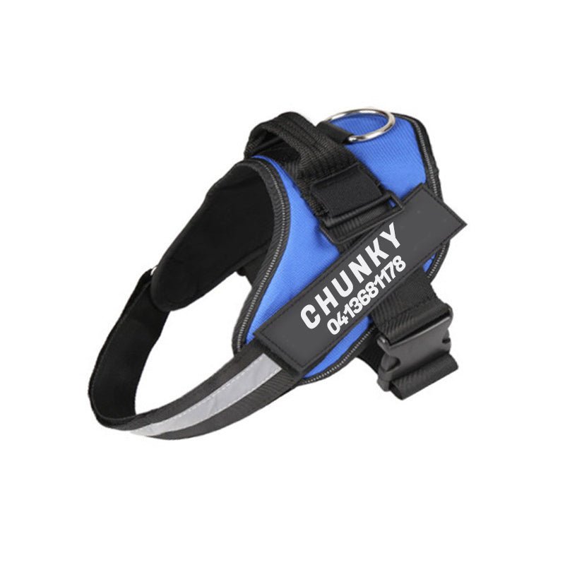 Dogsafe Sele - Reflekterande, dragfritt hundsel med anpassningsbart namnskylt