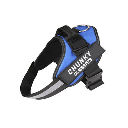 Dogsafe Sele - Reflekterande, dragfritt hundsel med anpassningsbart namnskylt