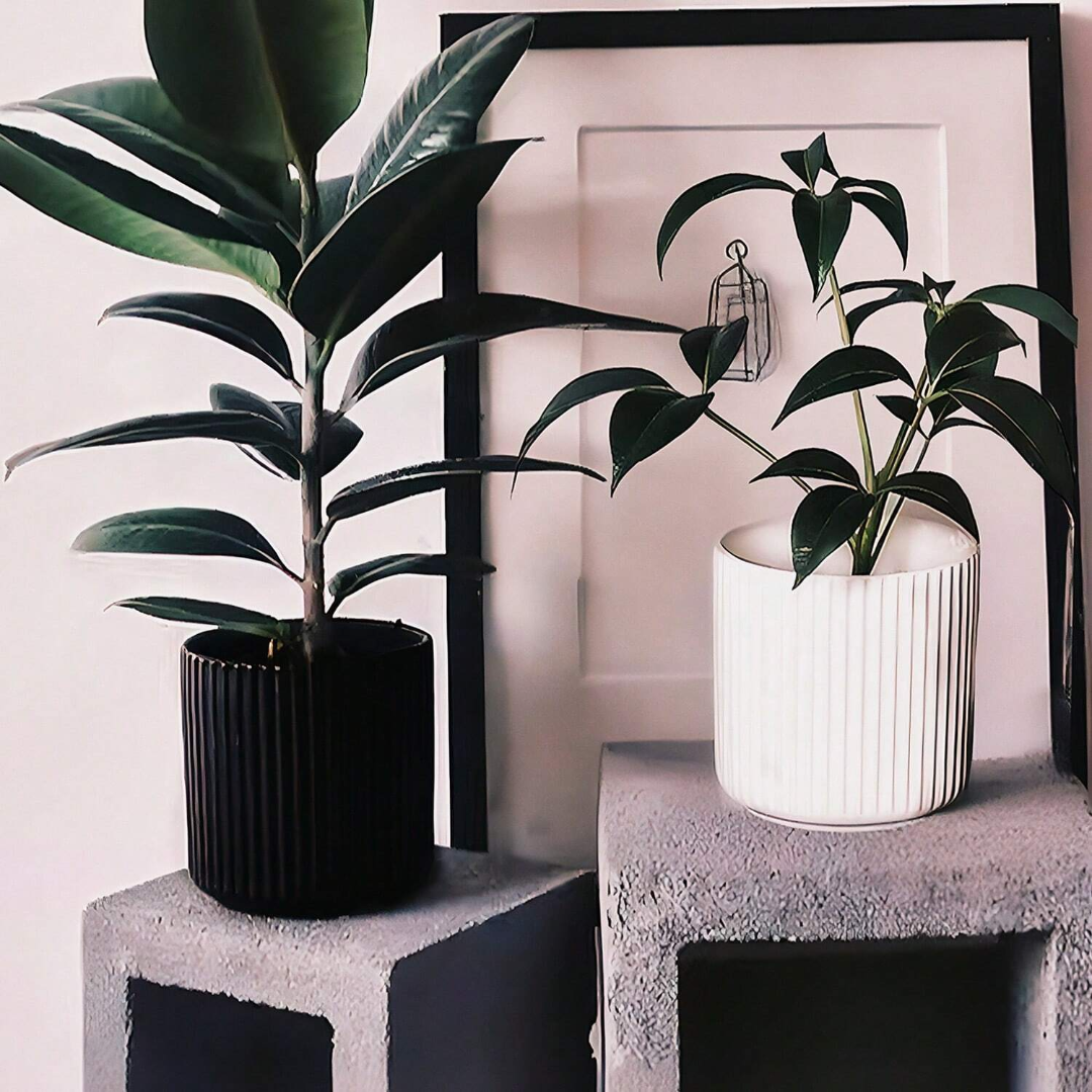 Carvallo Blomkruka | Modern design | Inomhus & Utomhus | Väderbeständig & Robust