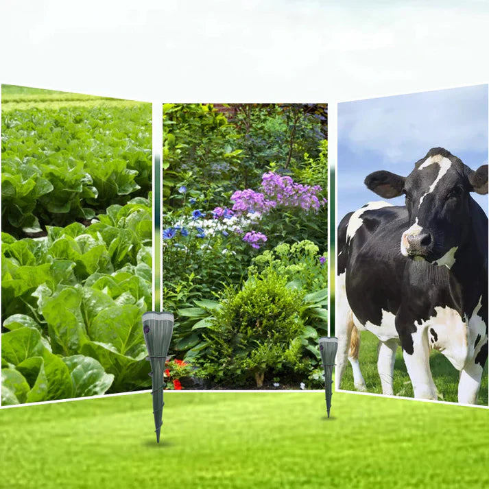 Carvallo | VibraGreen – Ro för din trädgård