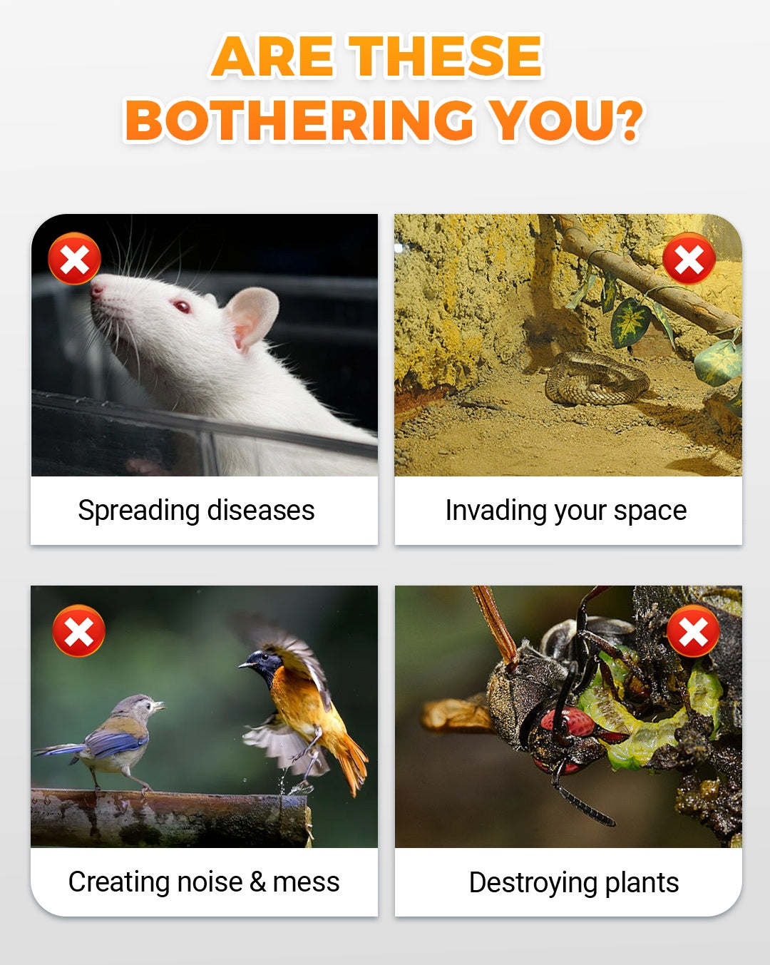 Carvallo | VibraGreen – Ro för din trädgård