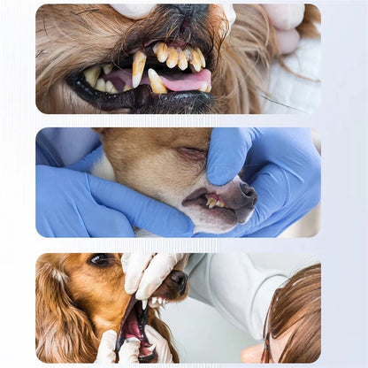 PureSpark – Komplett munhygienset för hundar med justerbar intensitet