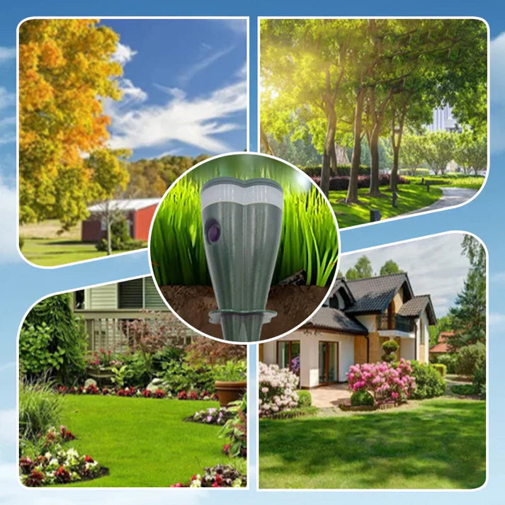 Carvallo | VibraGreen – Ro för din trädgård