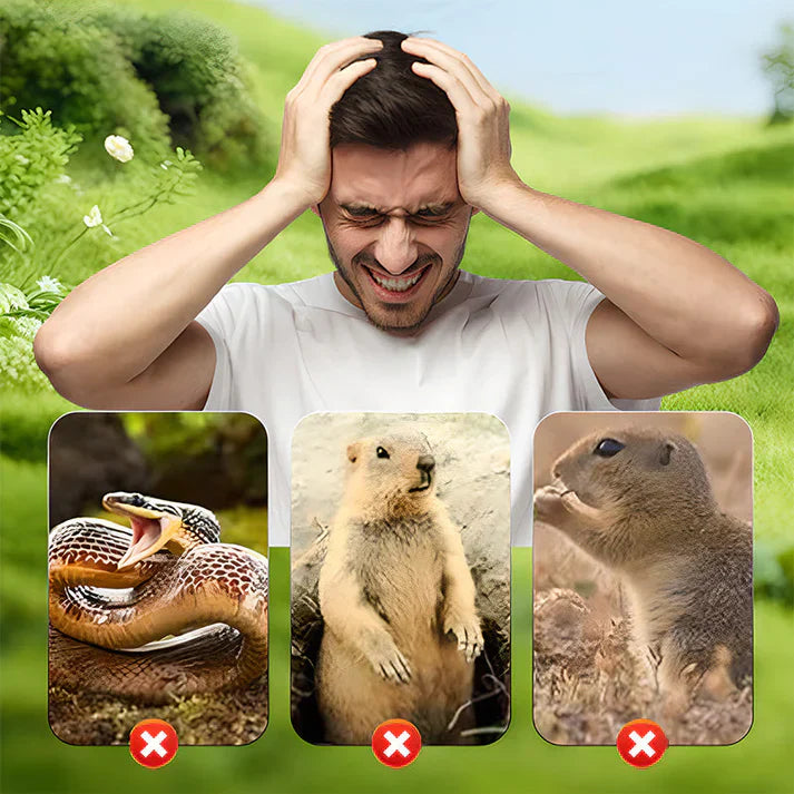 Carvallo | VibraGreen – Ro för din trädgård