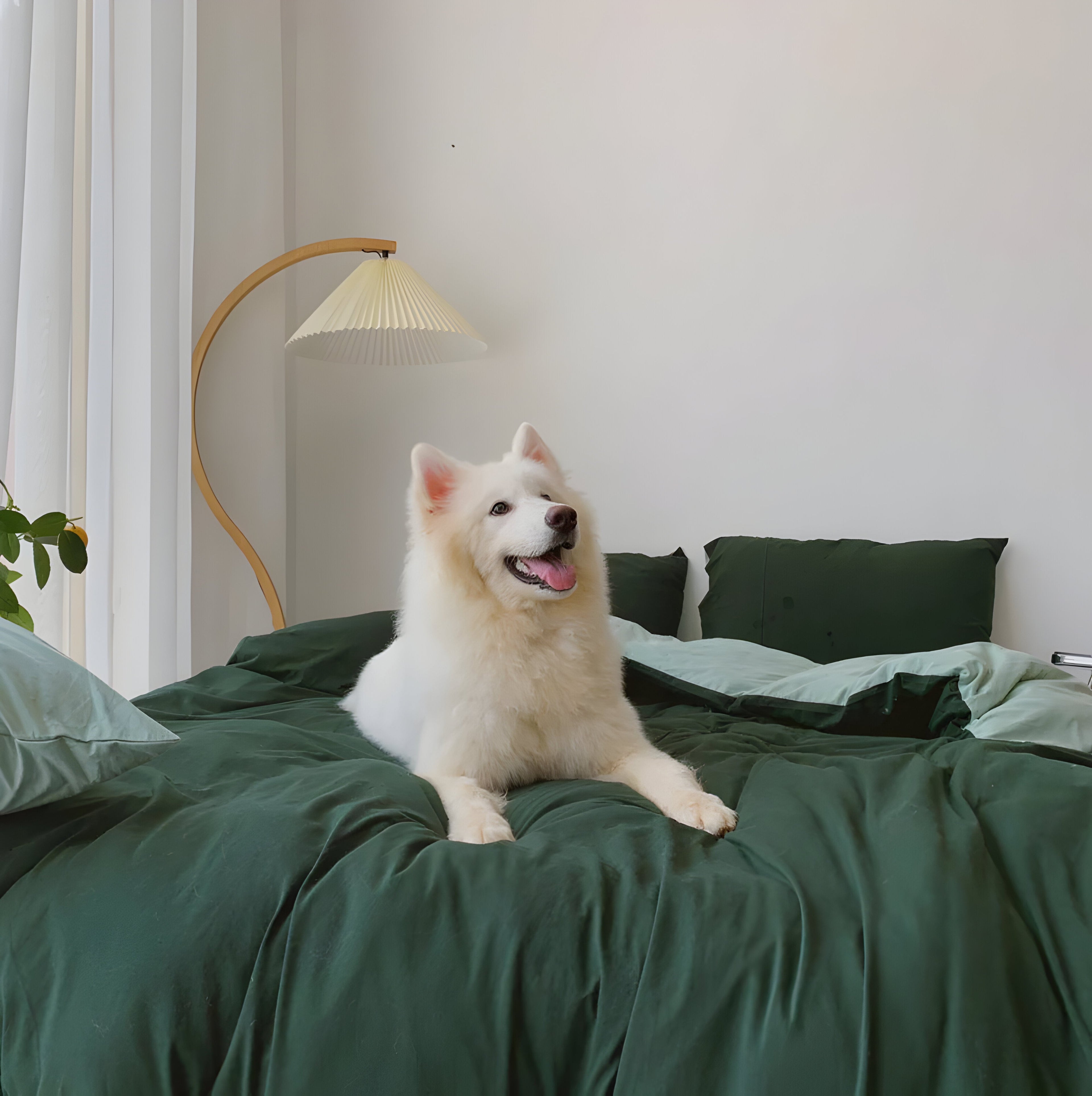 EtherealNest Set - Elegant duo sängkläder set