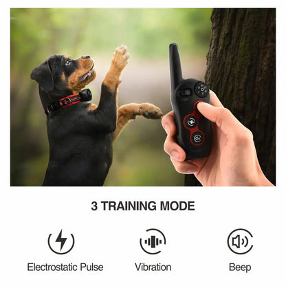 2 i 1 Hund Träningshalsband &amp; Anti Skäll Halsband
