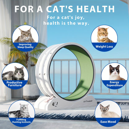 Kattträning Wheel Inomhus Löpande Wheel för Katter Fitness Kul