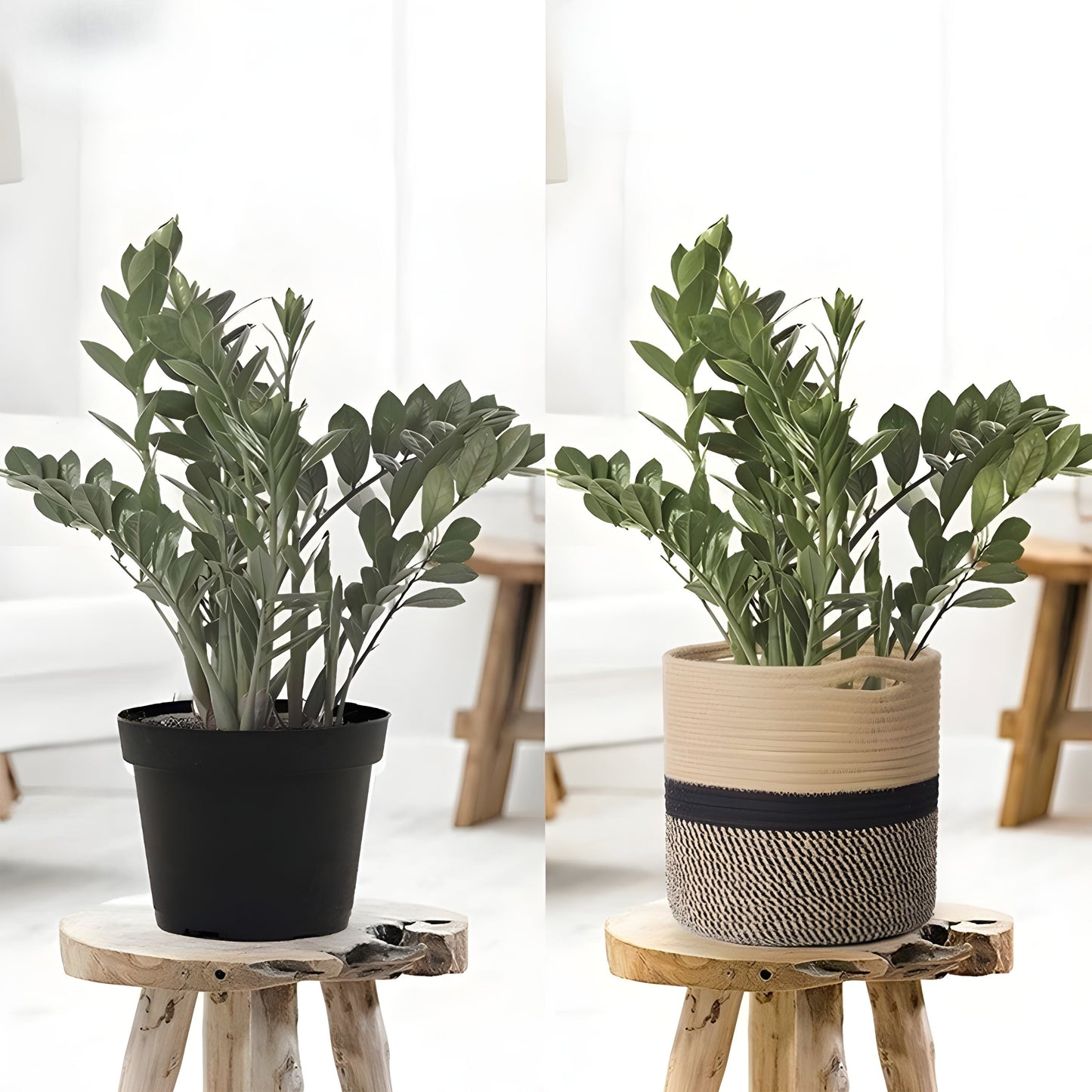 CottonCraft Korg - Fällbar Flätad Seilkorg