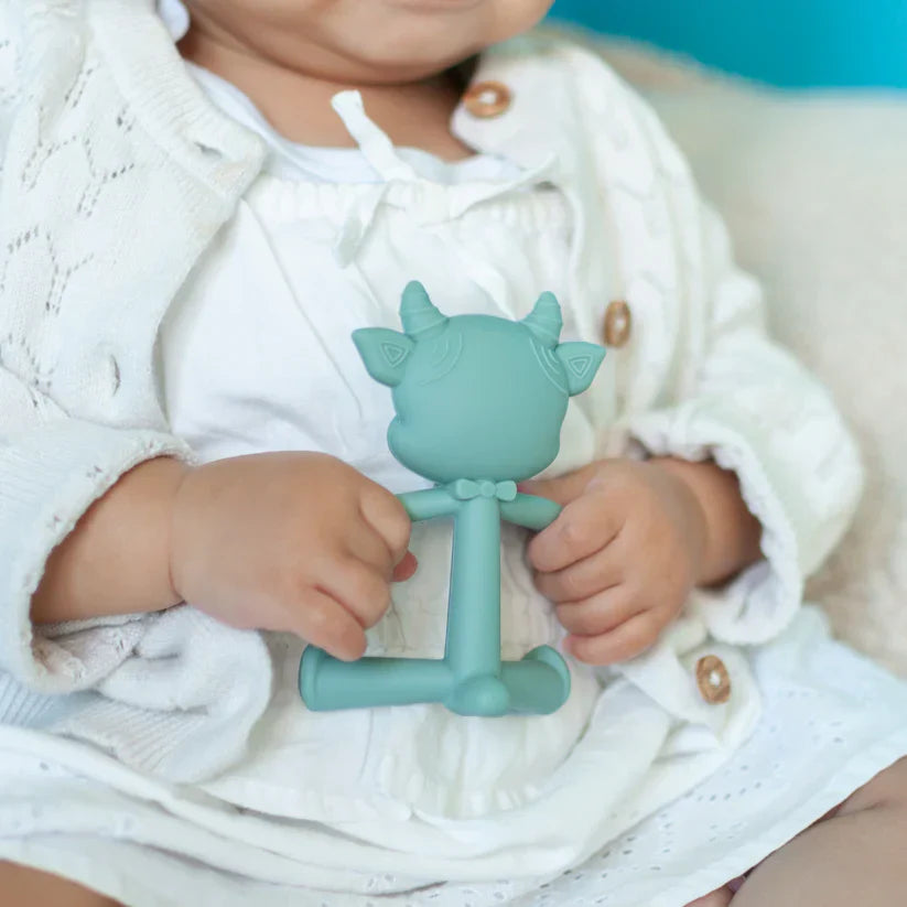 Baby Bit Toy