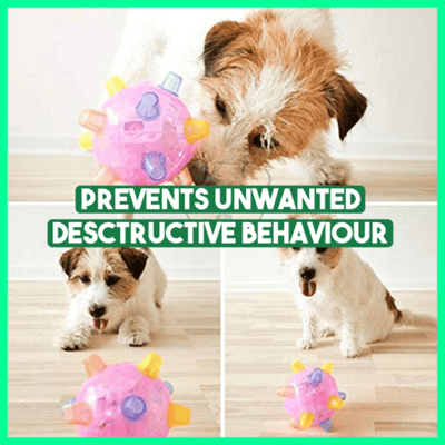 Carvallo – Bollen som fördriver tristessen