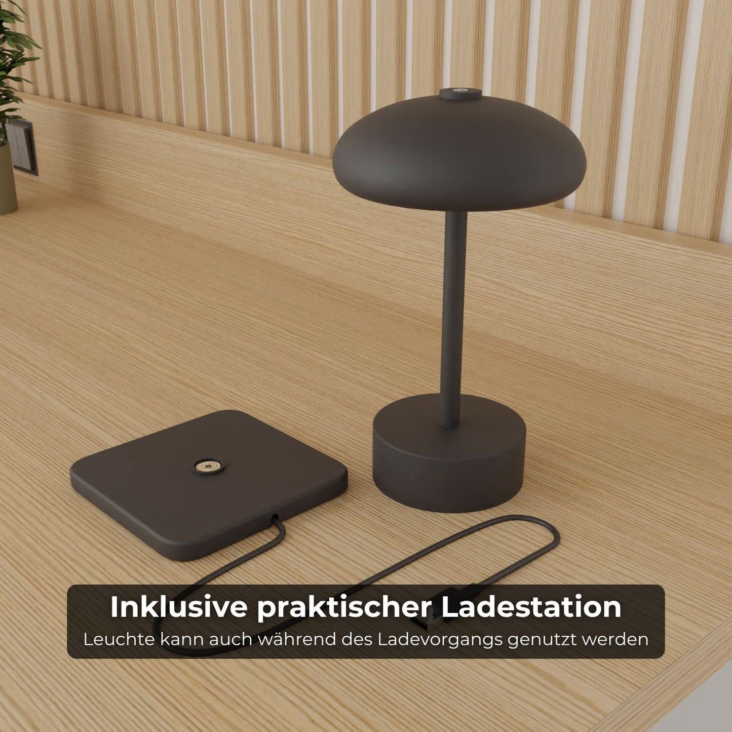 Elario Bordsbelysning med Akku