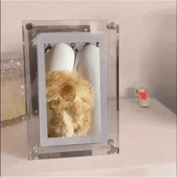 Live DigiFrame - Akryl Digital Fotoram med högtalare och Live Motion Display