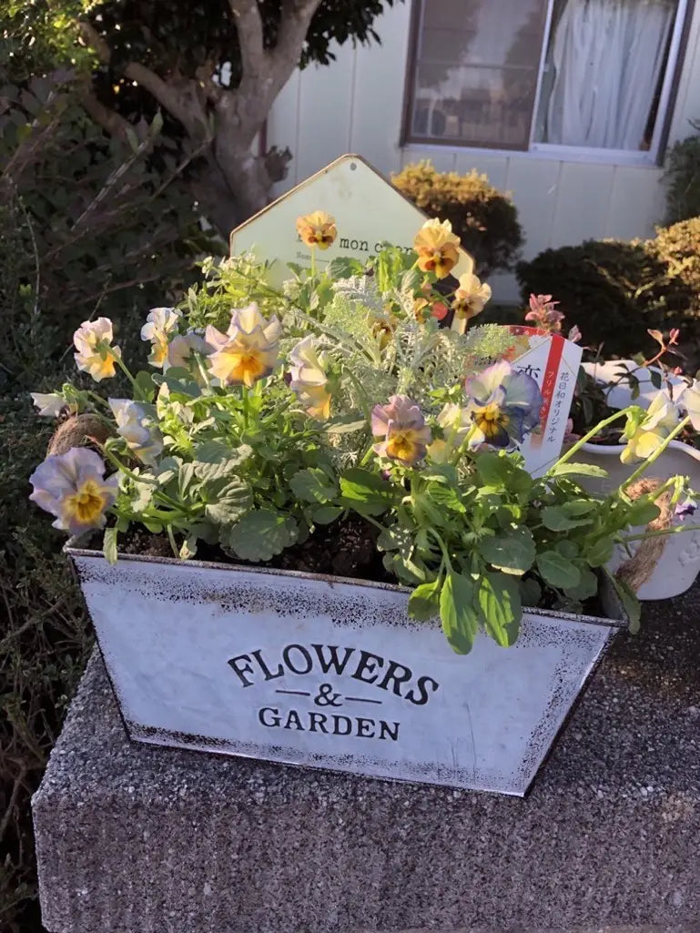 Dekorativ blomster- och trädgårdsbehållare i metall med hampasnörehandtag