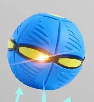 Pawelux Interaktiv Doggy Disc Boll - Säker, Studsig Hämta Leksak för Hundar