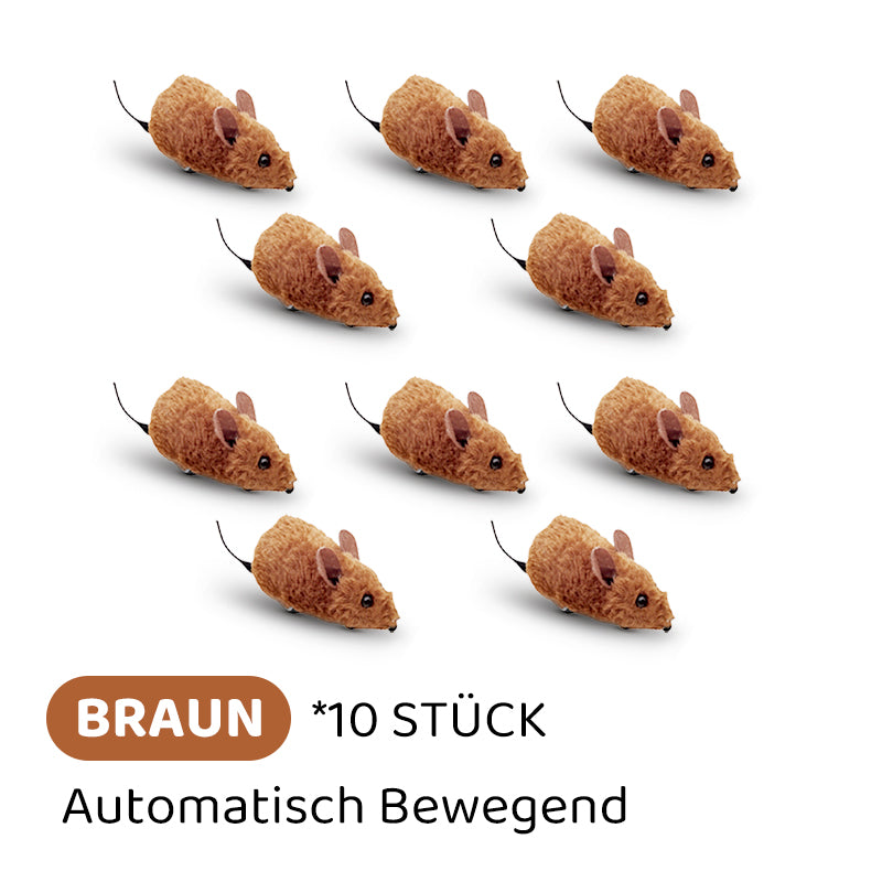 Carvallo | PawChase – Jaga, spela, jaga kul för din katt!