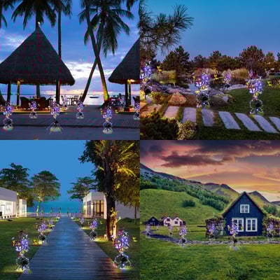 Carvallo - Förvandla din trädgård med lysande fjärilar