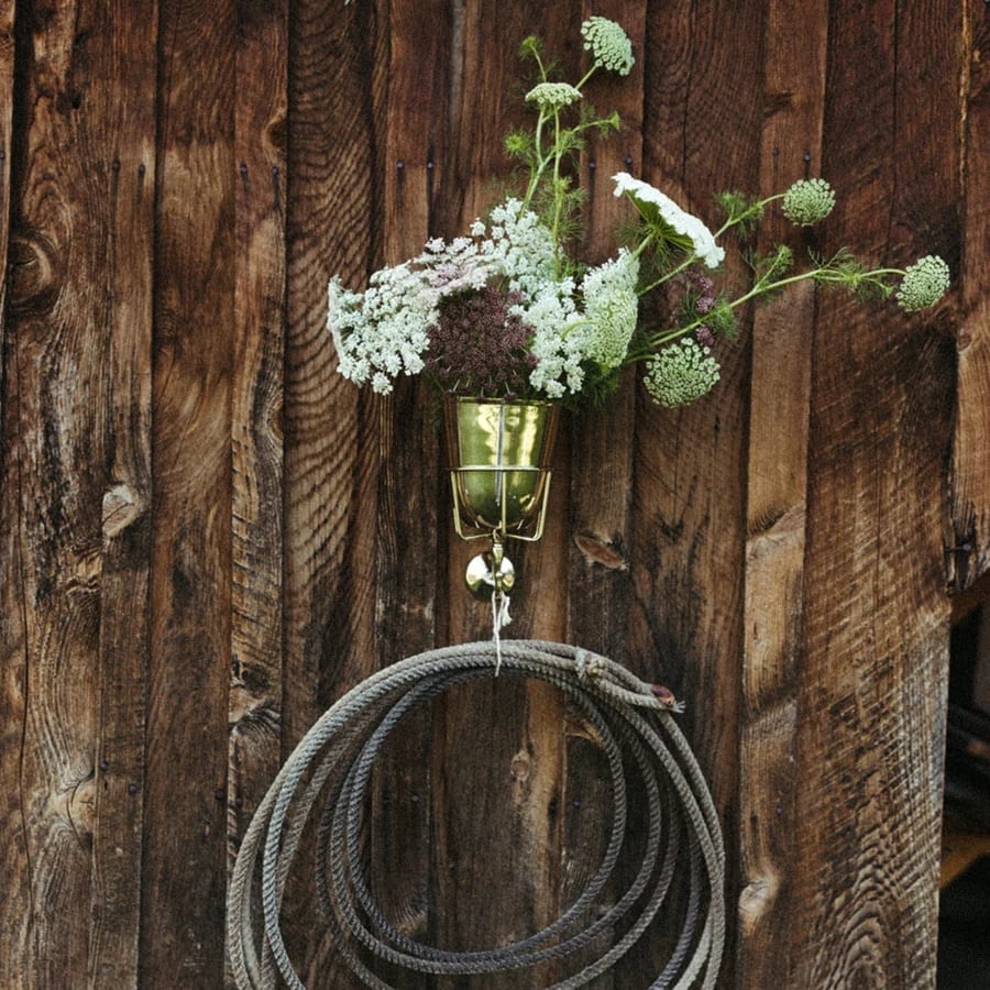 Carvallo – Vackert förvarad. Stiligt presenterad.