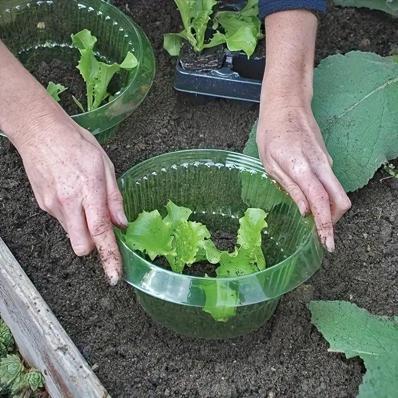 Carvallo skyddsringar | 20-pack | Växtskydd mot sniglar & insekter | Utan kemi eller elektricitet | Återanvändbar