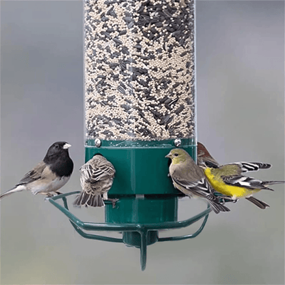 FEEDERGUARD – Ekorre-säker fågelhus för trädgården