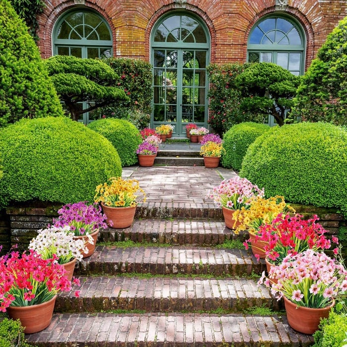 Carvallo | BloomAura – Naturtroget blommprakt utan vårdinsats