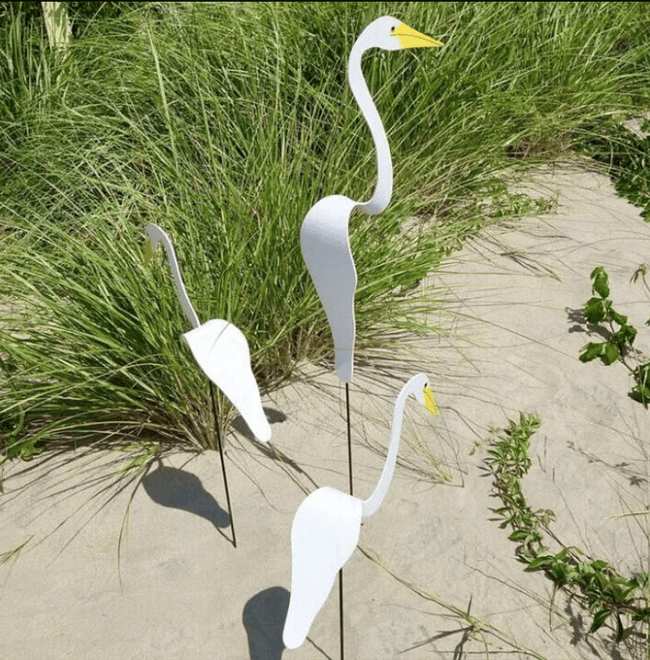 Carvallo - Graciös Roternade Fågel För En Fin Trädgård