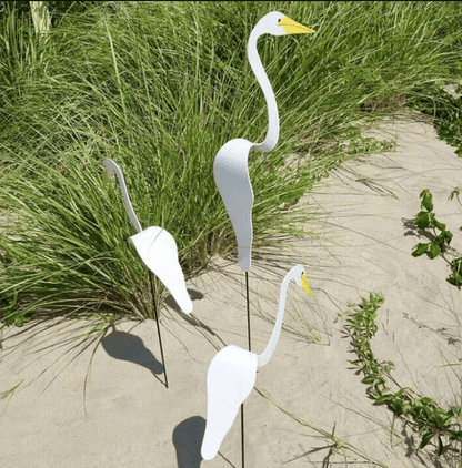 Carvallo - Graciös Roternade Fågel För En Fin Trädgård