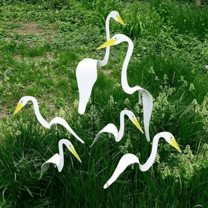 Carvallo - Graciös Roternade Fågel För En Fin Trädgård