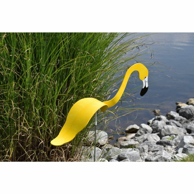 Carvallo - Graciös Roternade Fågel För En Fin Trädgård