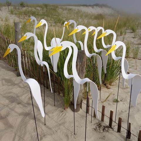 Carvallo - Graciös Roternade Fågel För En Fin Trädgård