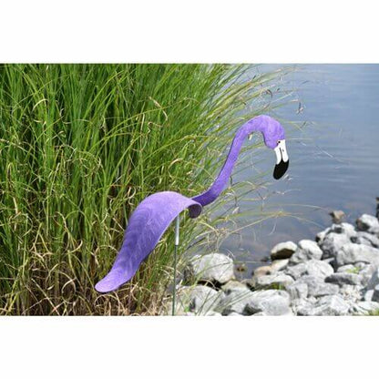 Carvallo - Graciös Roternade Fågel För En Fin Trädgård