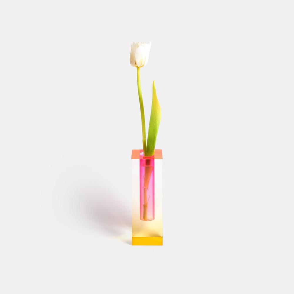 Kaleidoscope Vaser - Färgglada Blomster Vaser för en Fräsch Utseende
