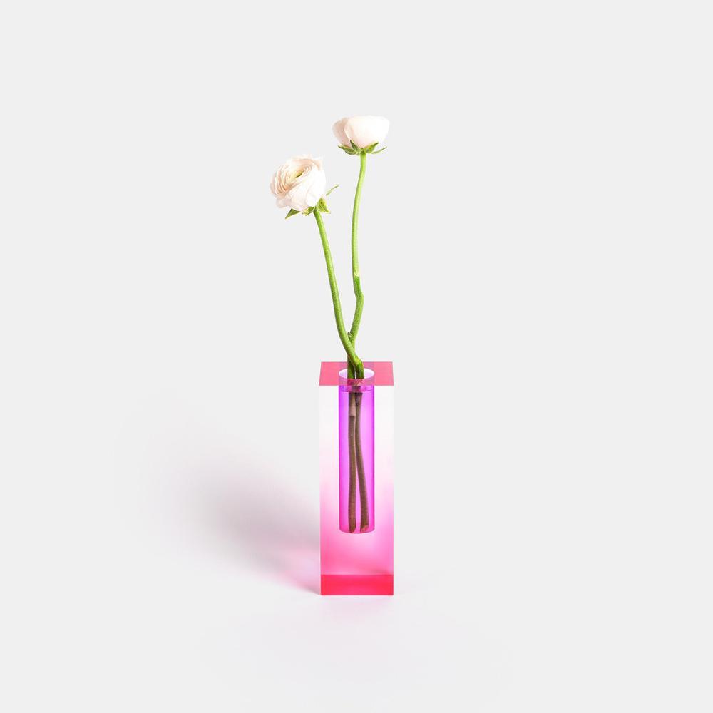 Kaleidoscope Vaser - Färgglada Blomster Vaser för en Fräsch Utseende