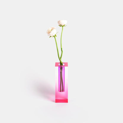 Kaleidoscope Vaser - Färgglada Blomster Vaser för en Fräsch Utseende