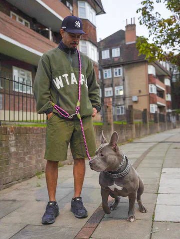 FREEDOMLEAS – Handsfree hundkoppel med midjebälte