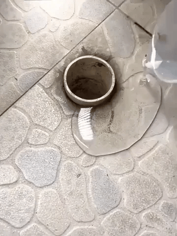 Royaleva 300g Transparent Vattentät Lim Läcksäker Beläggning