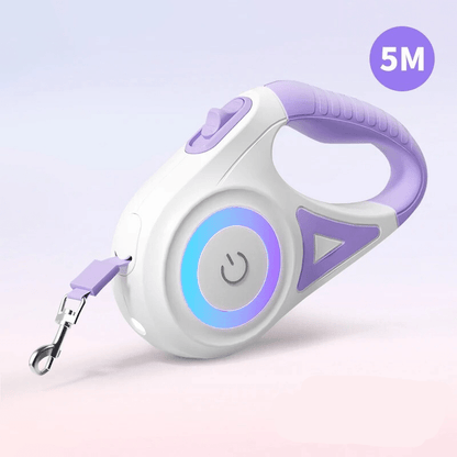 Glowguard – LED-hundkoppel för säkra kvällspromenader