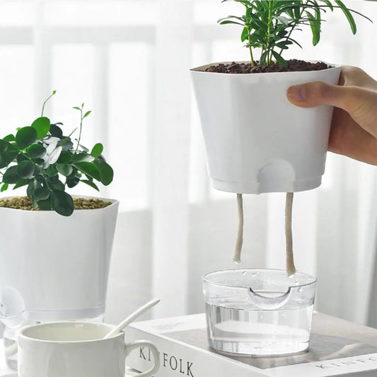 AquaPlanter - Smart Blomkruka och Miniakvarium i Ett