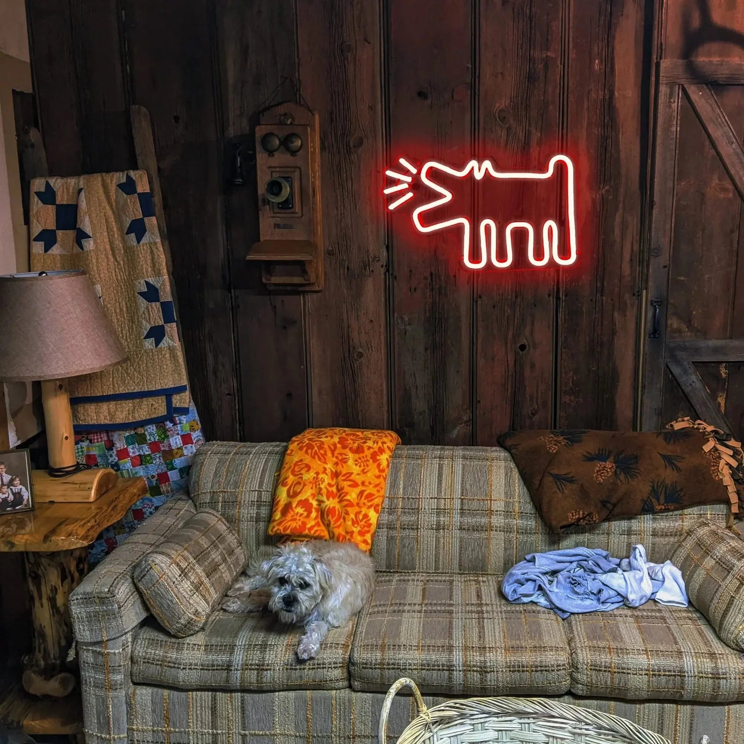 UrbanPaws – Graffiti Hund LED Neon Skylt för Djärv &amp; Trendig Dekor