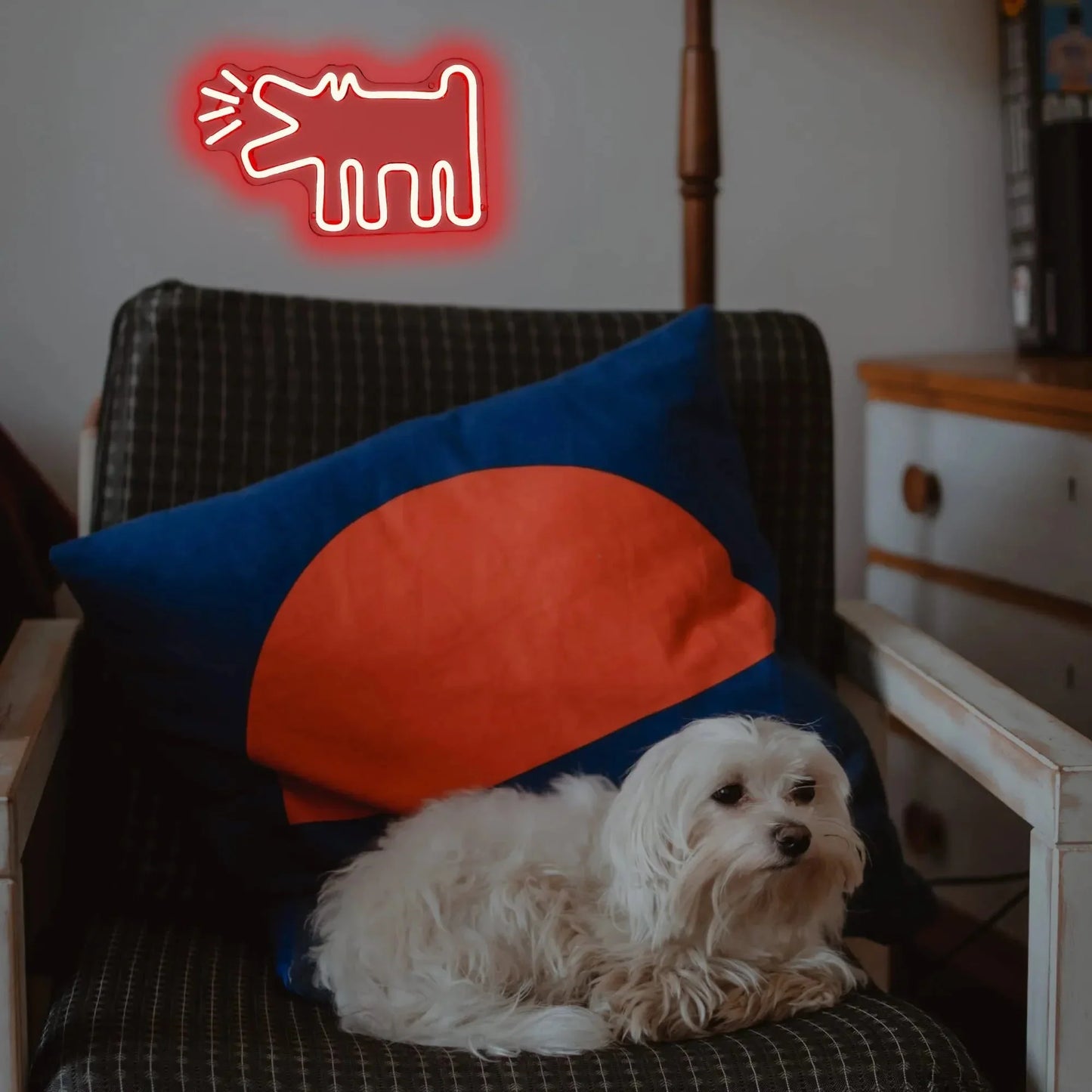 UrbanPaws – Graffiti Hund LED Neon Skylt för Djärv & Trendig Dekor