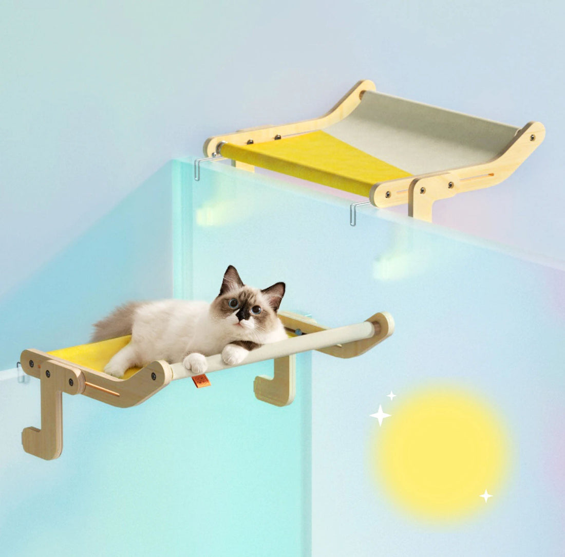 Kattfönsterhylla