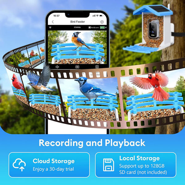 Carvallo med kamera BirdView Pro+ | 2.5K HD & Nattseende | AI-Fågeligenkänning | Sol & USB | IP65