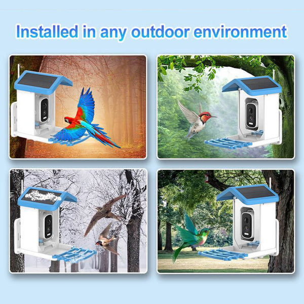 Carvallo med kamera BirdView Pro+ | 2.5K HD &amp; Nattseende | AI-Fågeligenkänning | Sol &amp; USB | IP65