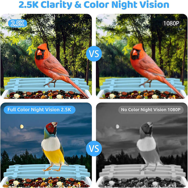 Carvallo med kamera BirdView Pro+ | 2.5K HD & Nattseende | AI-Fågeligenkänning | Sol & USB | IP65